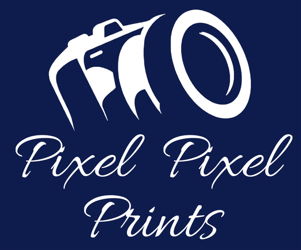 Pixel Pixel Prints logo